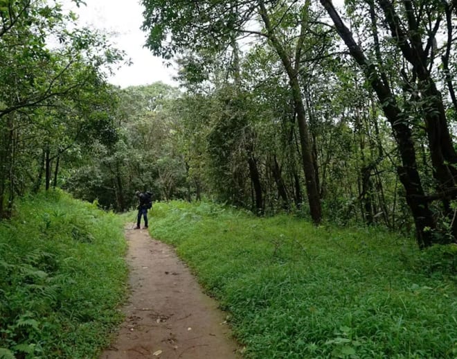 Tadiandamol Trek: Go wild this weekend Image