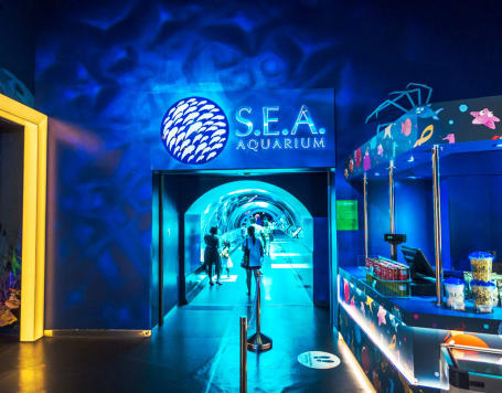S E A Aquarium Singapore