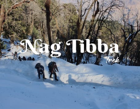 Nag Tibba Trek