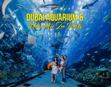 Dubai Aquarium & Underwater Zoo Tickets With Penguin Cove Exploration
