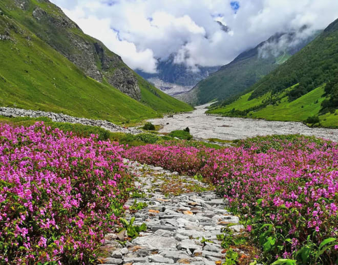 Valley of Flowers Trek with Hemkund Sahib Image