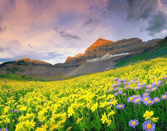 Valley of Flowers Trek with Hemkund Sahib Image
