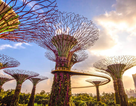 Gardens by the bay, Singapore
