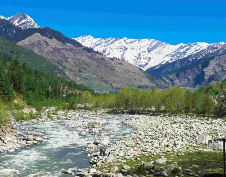 Workcation in Manali (Camp)