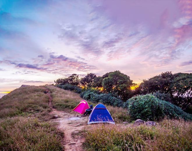 Tadiandamol Trek: Go wild this weekend Image