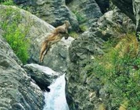 Great Himalayan National Park Kullu, India