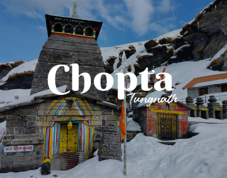 Chopta Tungnath and Chandrashila Trek Package